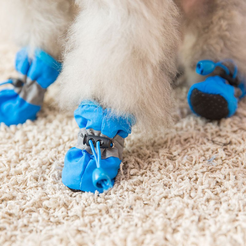 4PCS Kleine Hundeschuhe Wander – Outdoor Camping Slippers Bewertung und Preis